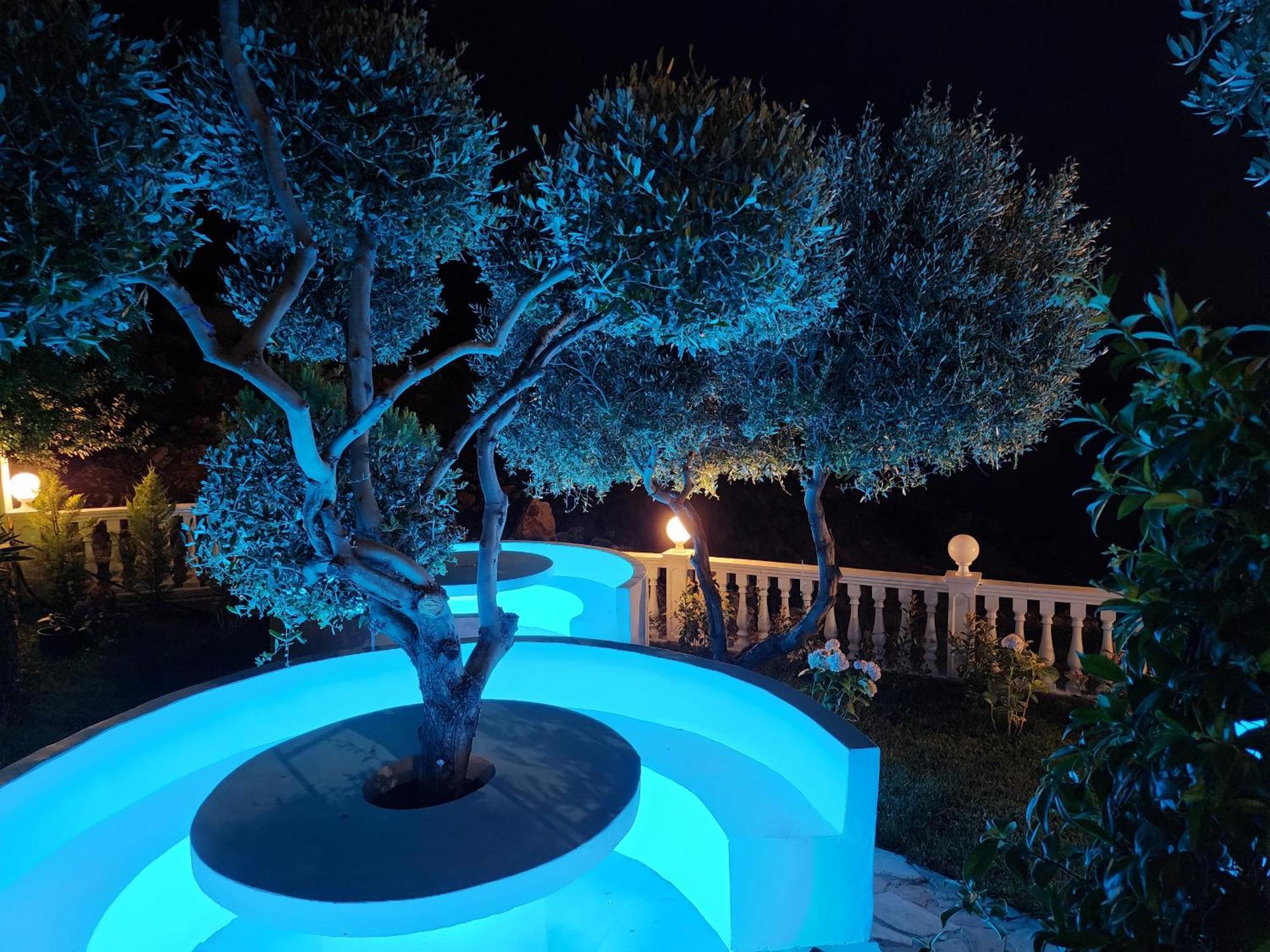 Festim Villa Hotel Kanine Dış mekan fotoğraf
